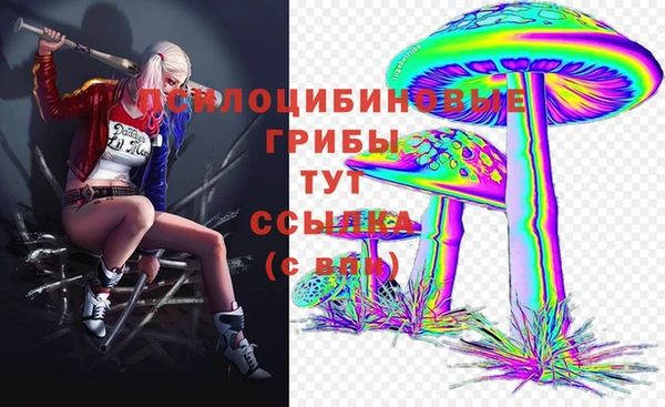 ПСИЛОЦИБИНОВЫЕ ГРИБЫ Алзамай