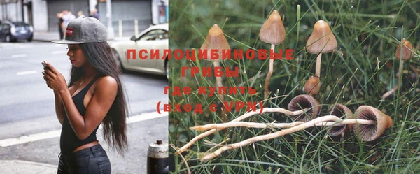 спиды Абдулино