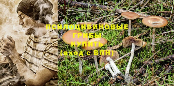 спиды Абдулино