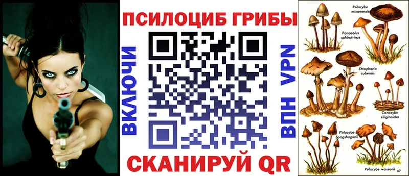 Галлюциногенные грибы Psilocybe  цена наркотик  Ужур 